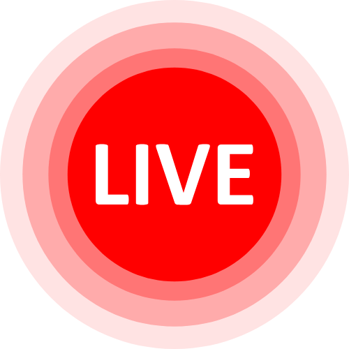 Real Life Cams Porn
